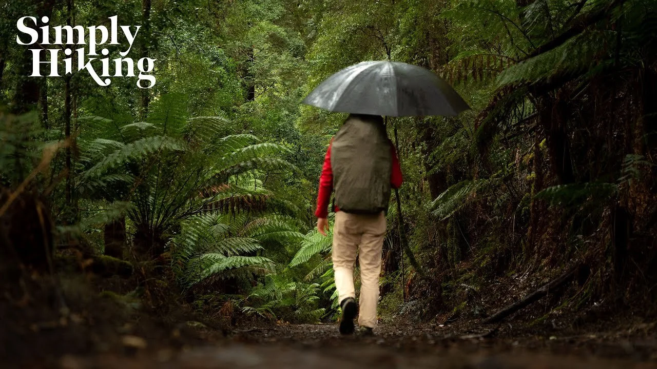 Montezuma’s Falls Walk Tasmania