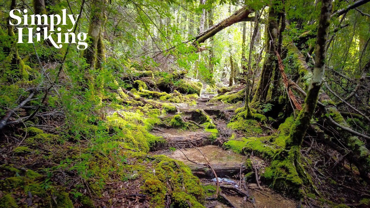 The Overland Track Walk Tasmania