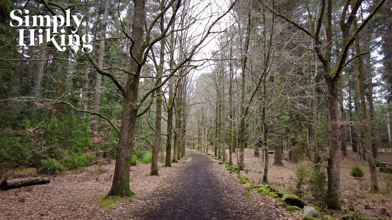 Hollybank Forest Walk Tasmania
