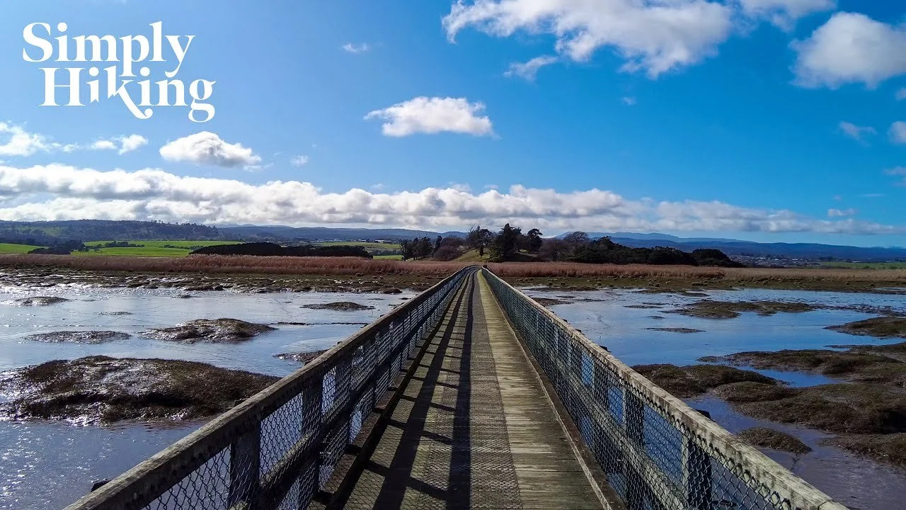 Tamar Wetlands Walk Tasmania