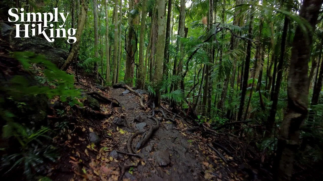 31 Minute Trail Walk