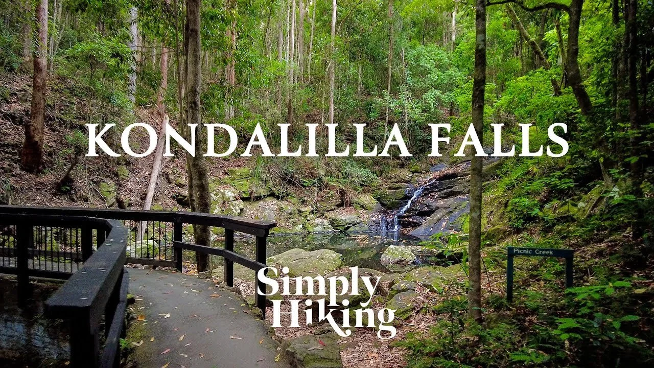 Kondalilla Falls Walk Australia