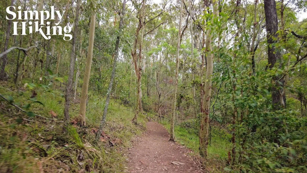 Litchfield Track Bush Walk Australia