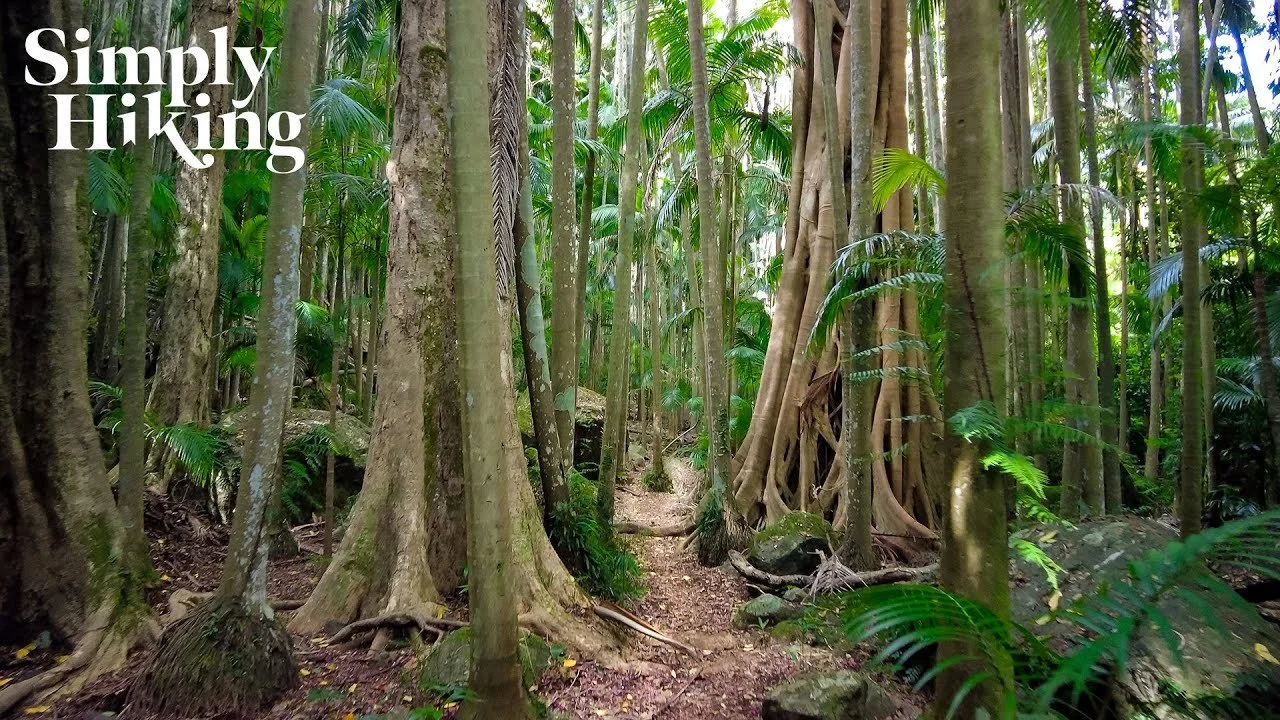 1 Hour 12 Minute Trail Walk