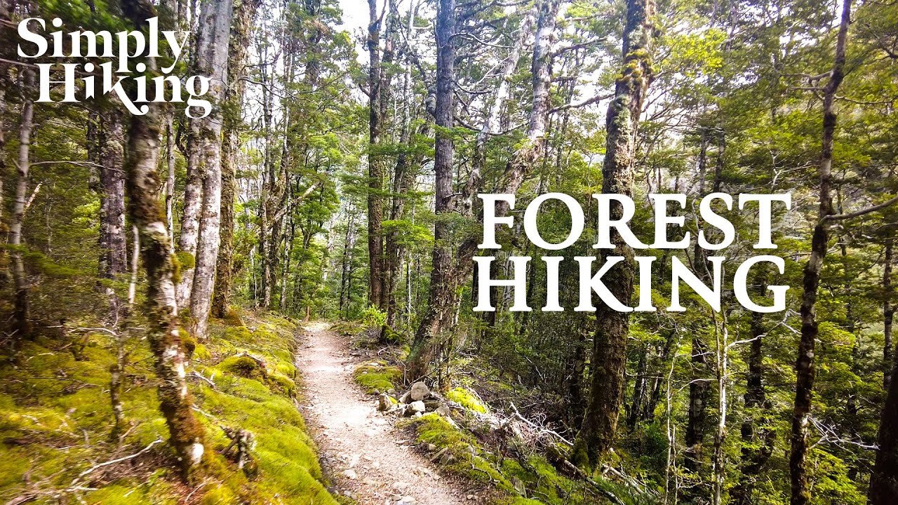 15 Minute Trail Walk