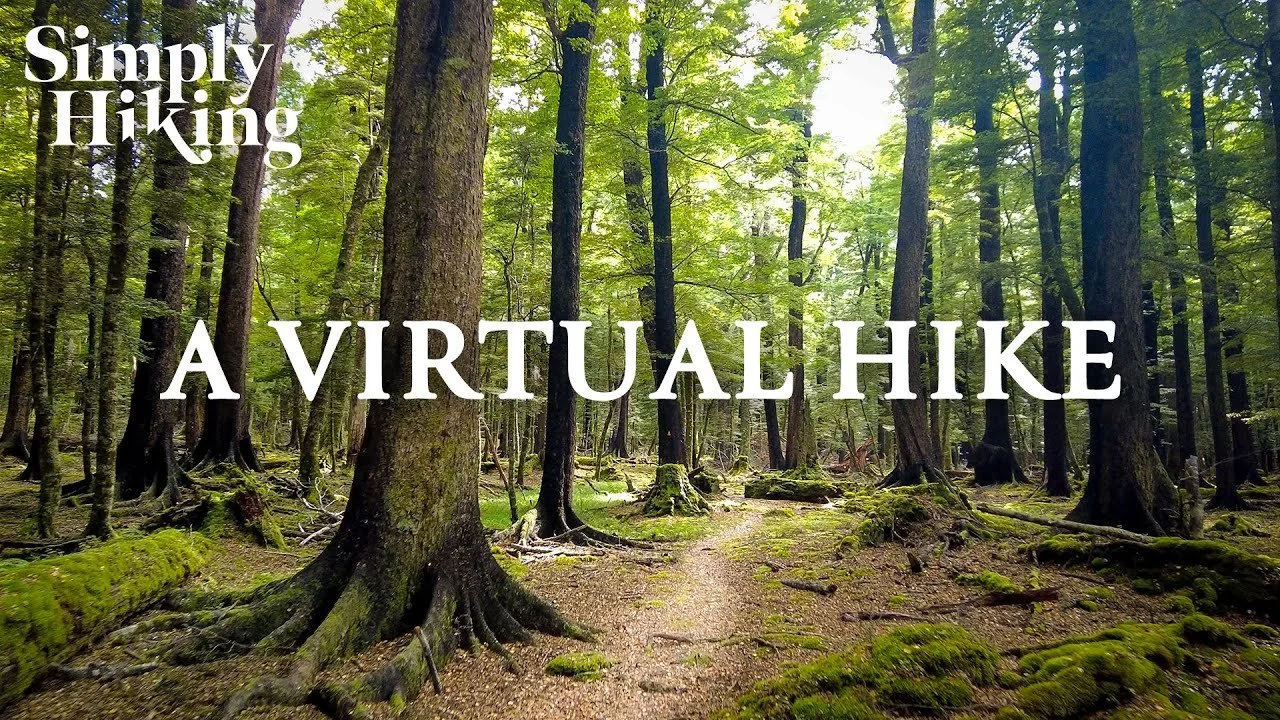 10 Minute Trail Walk