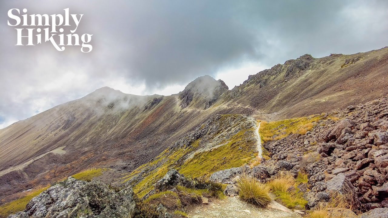 Robert's Ridgeline Walk New Zealand