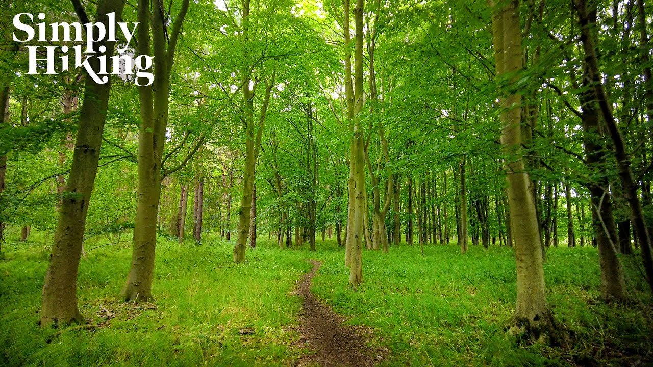 22 Minute Trail Walk