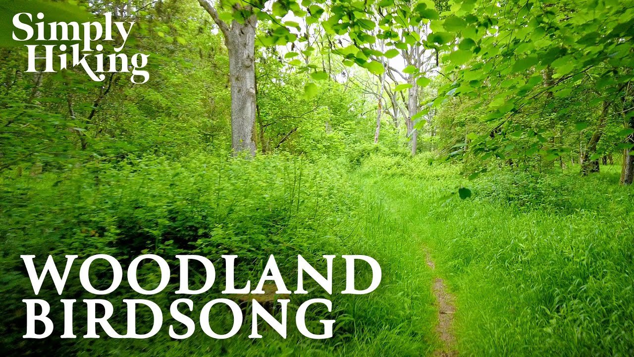 20 Minute Trail Walk