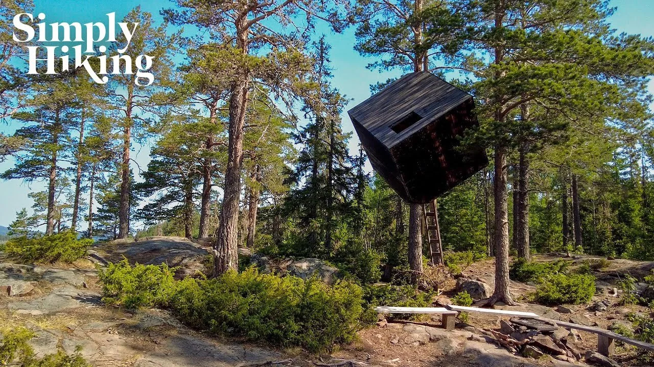 The Tree Cube Walk Sweden