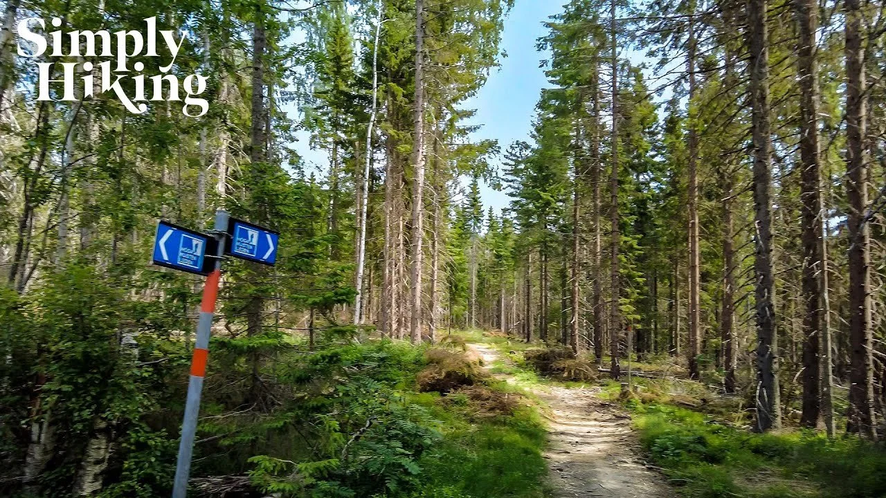 Höga Kusten-leden Walk Sweden