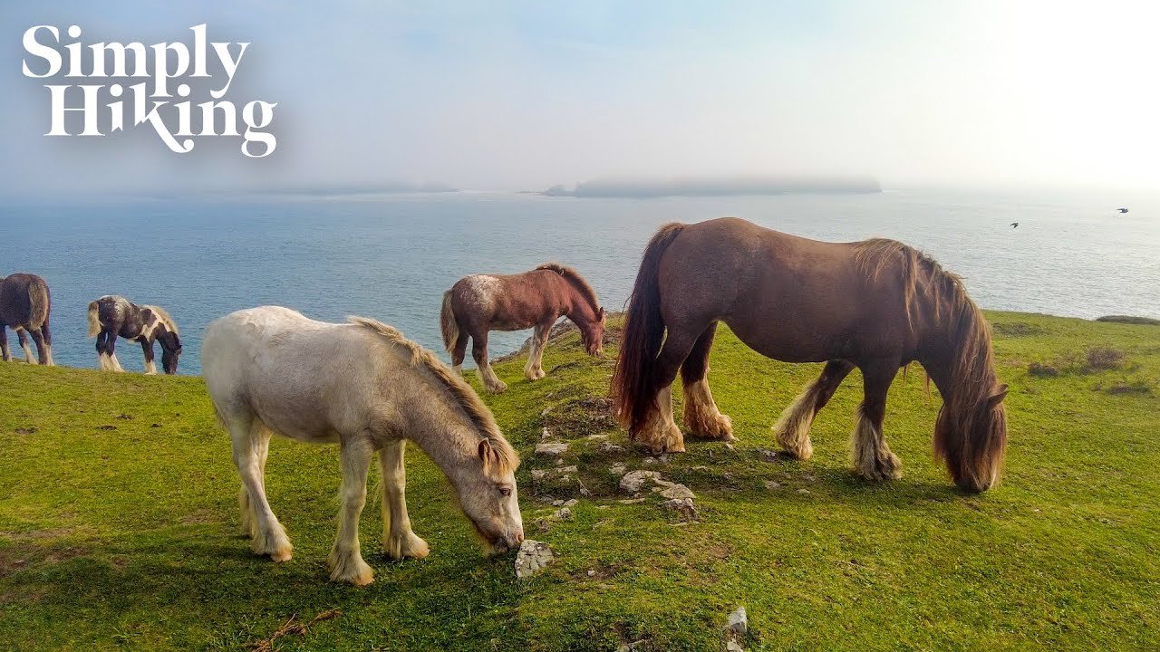 Pembrokeshire Coast Path Walk Wales