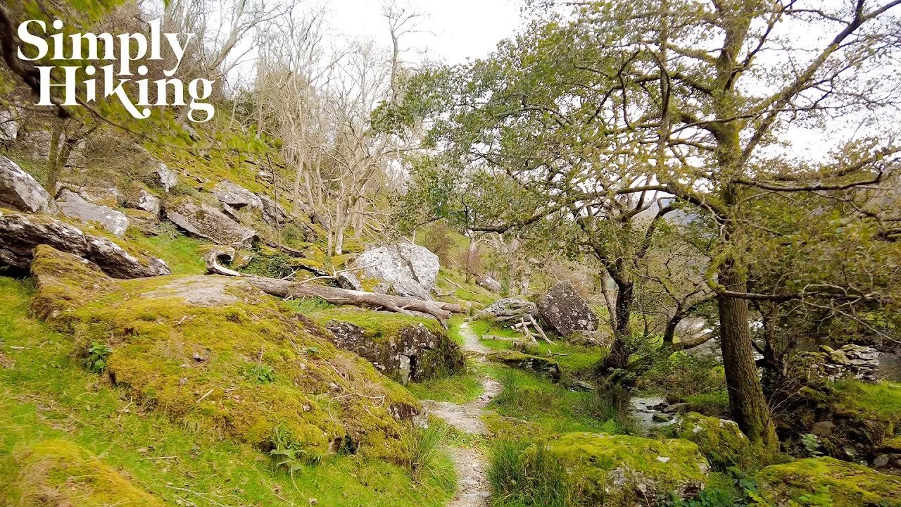 Nant Gwynant Walk Wales