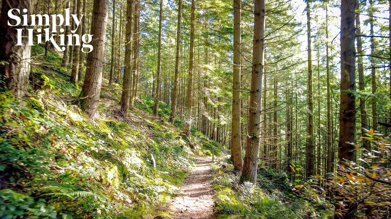 2 Hour 12 Minute Trail Walk