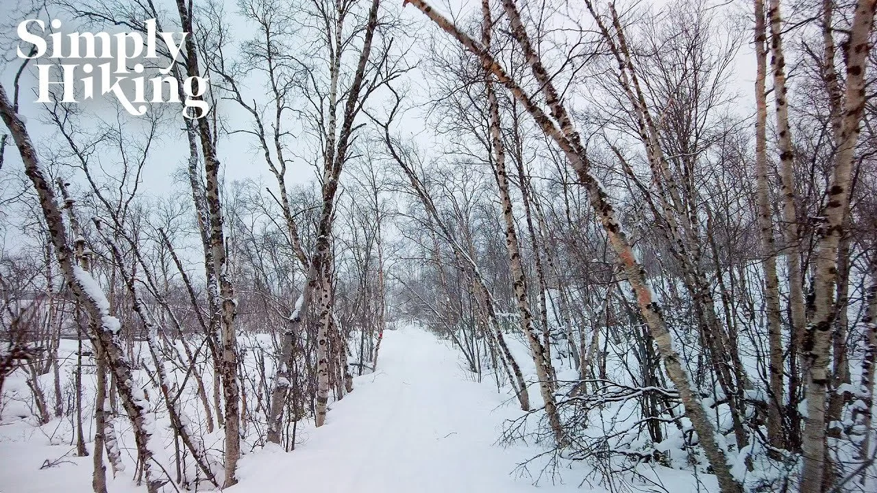 Artic Circle Walk Sweden