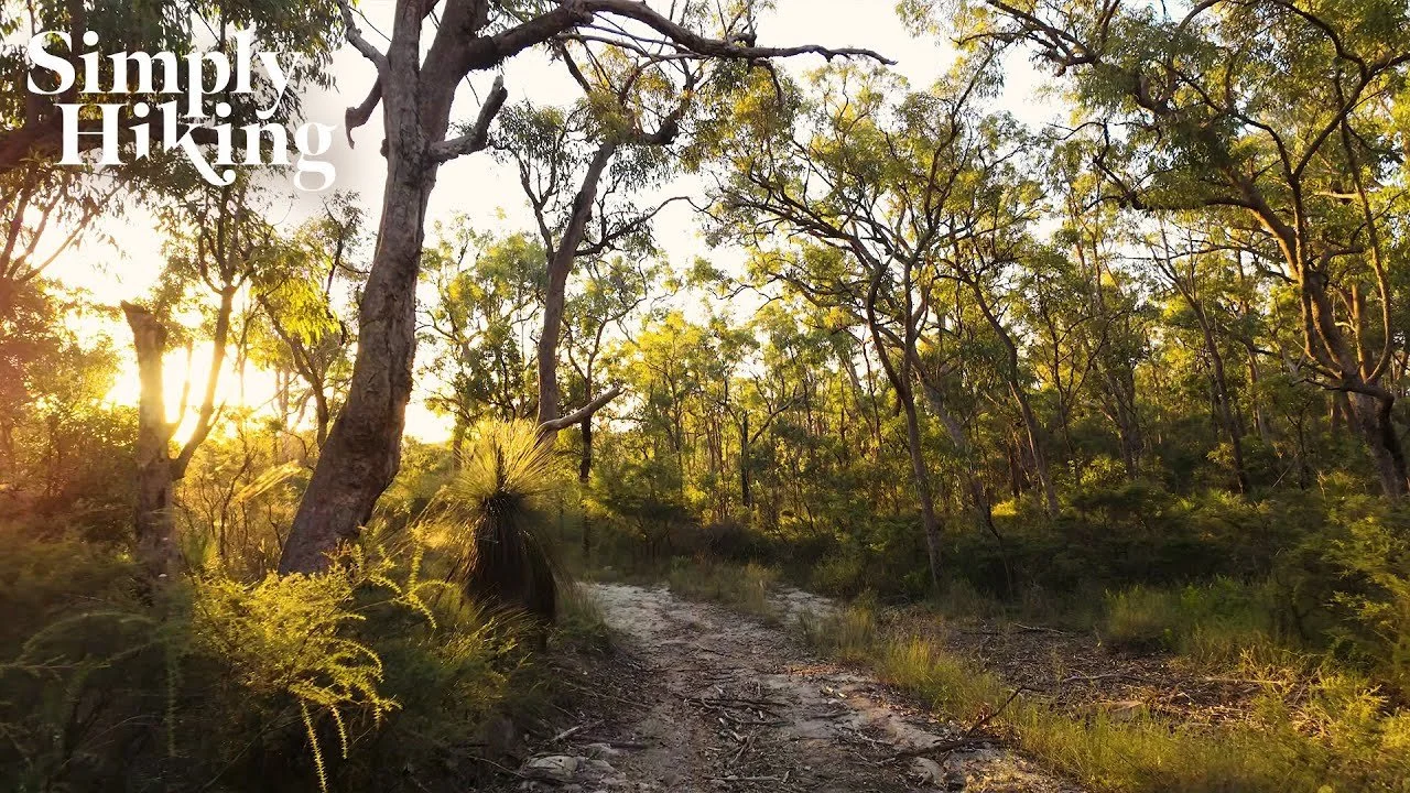 Plunkett Conservation Park Queensland Australia