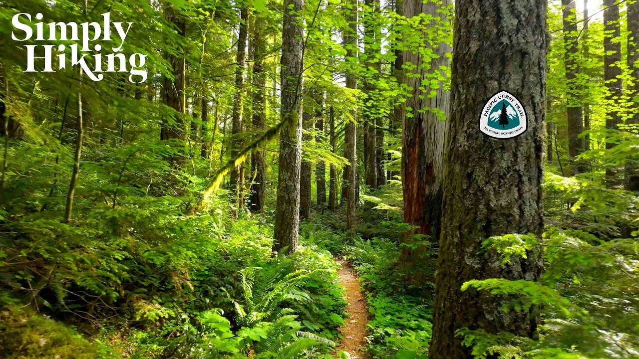 21 Minute Trail Walk