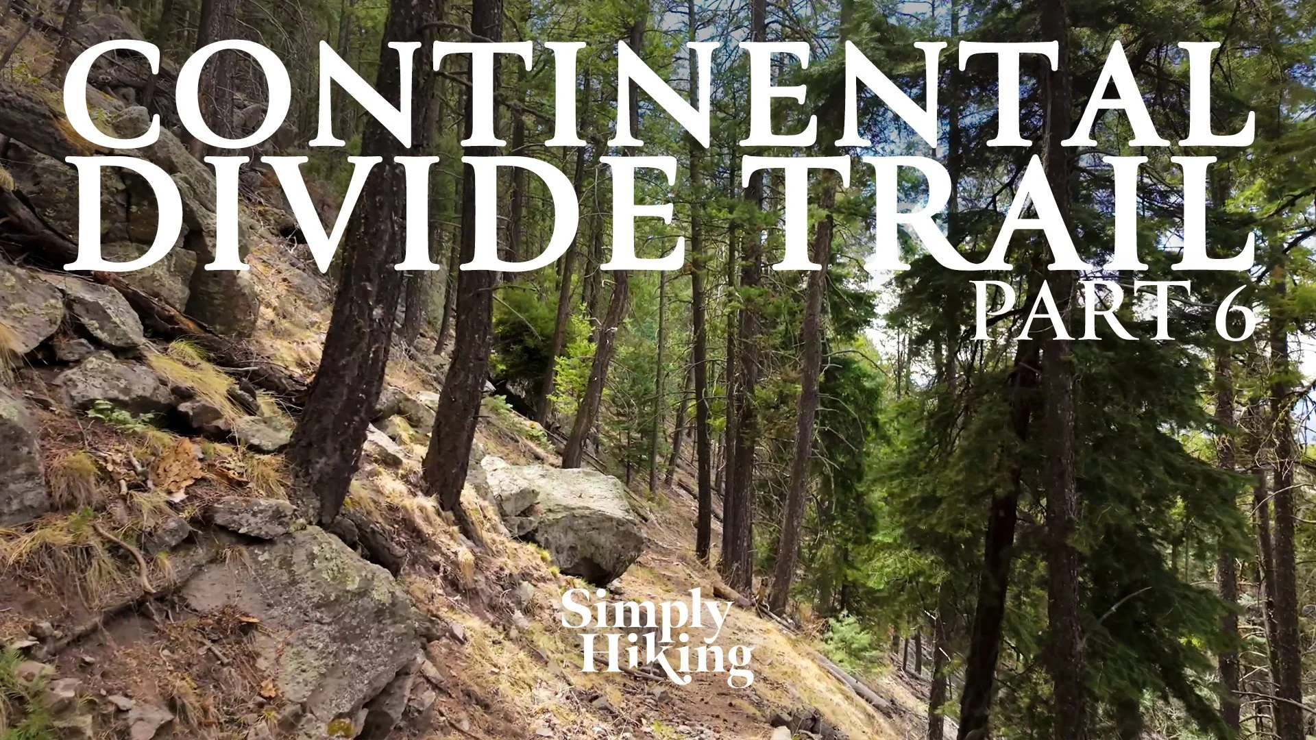 Virtual Continental Divide Trail New Mexico Part 6 for Treadmills
