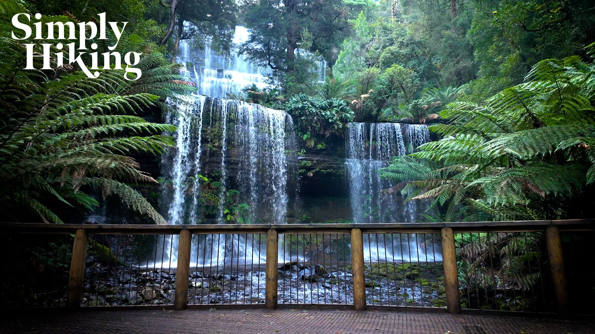 Russell Falls Walk Tasmania