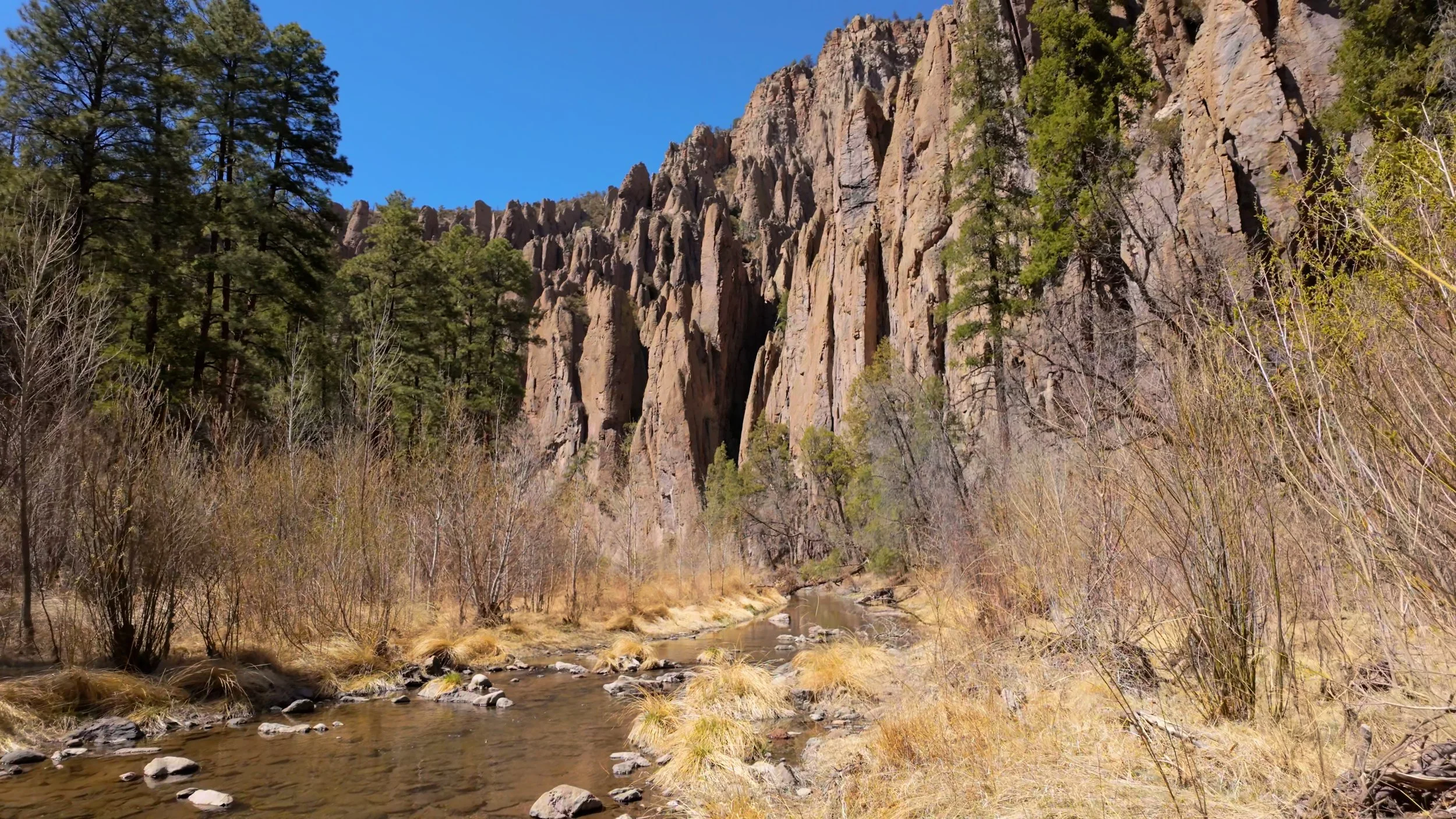 Gila Wilderness Walk in New Mexico