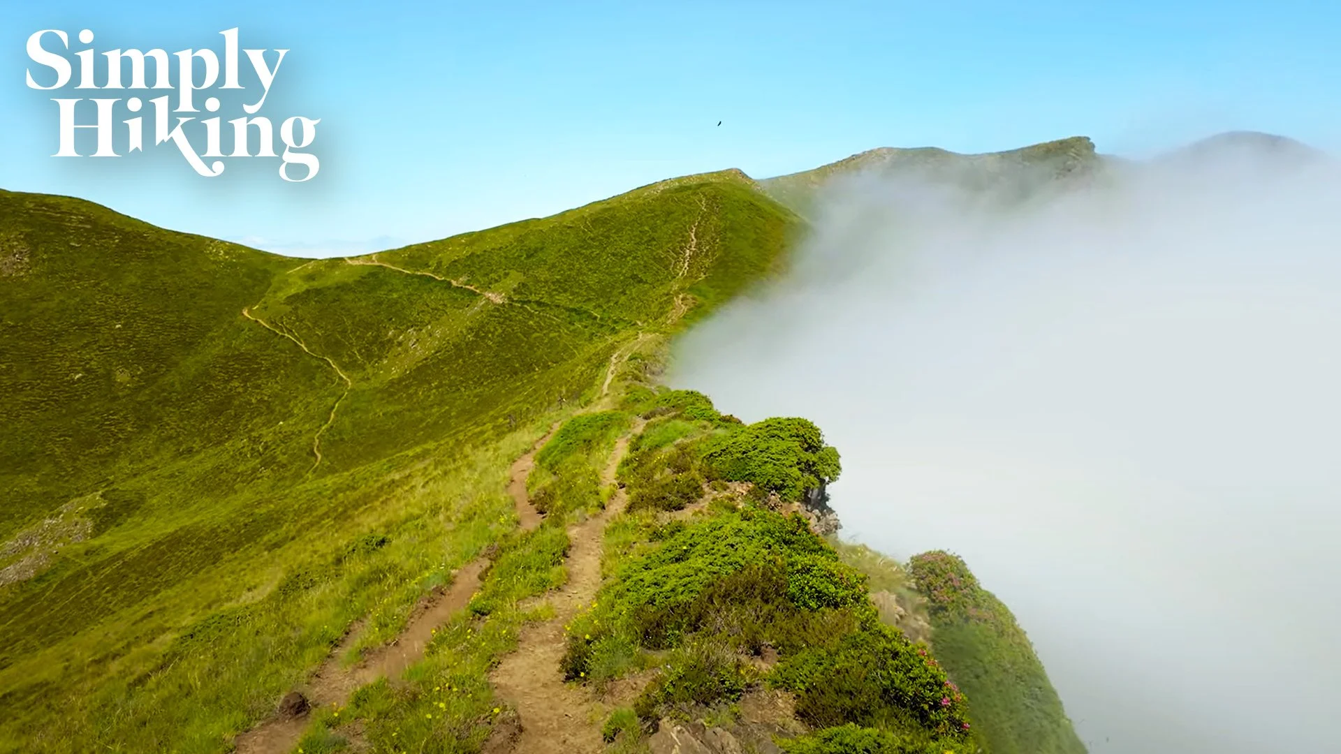 GR10 trail, France