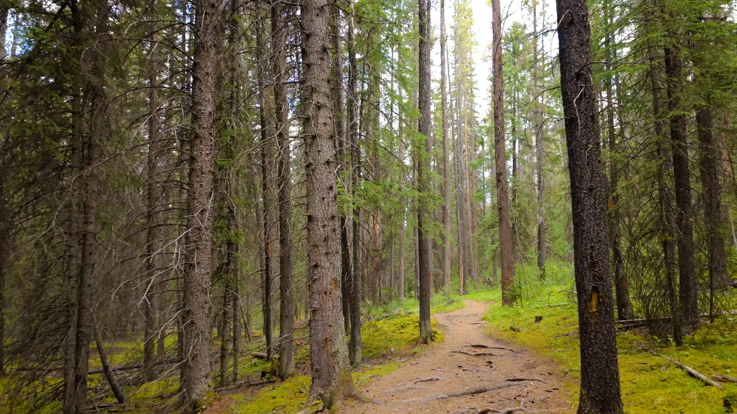 Horseshoe Trails Walk