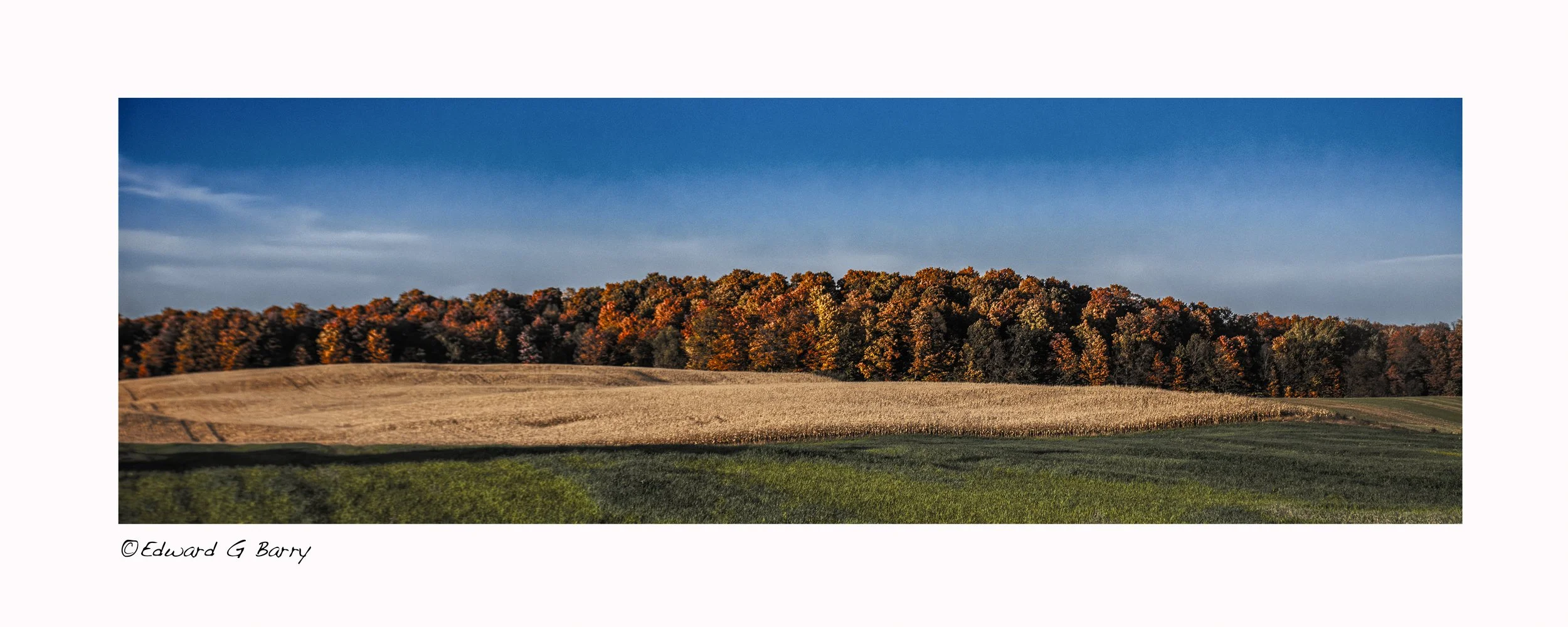 Landscape final pick-Edit.jpg