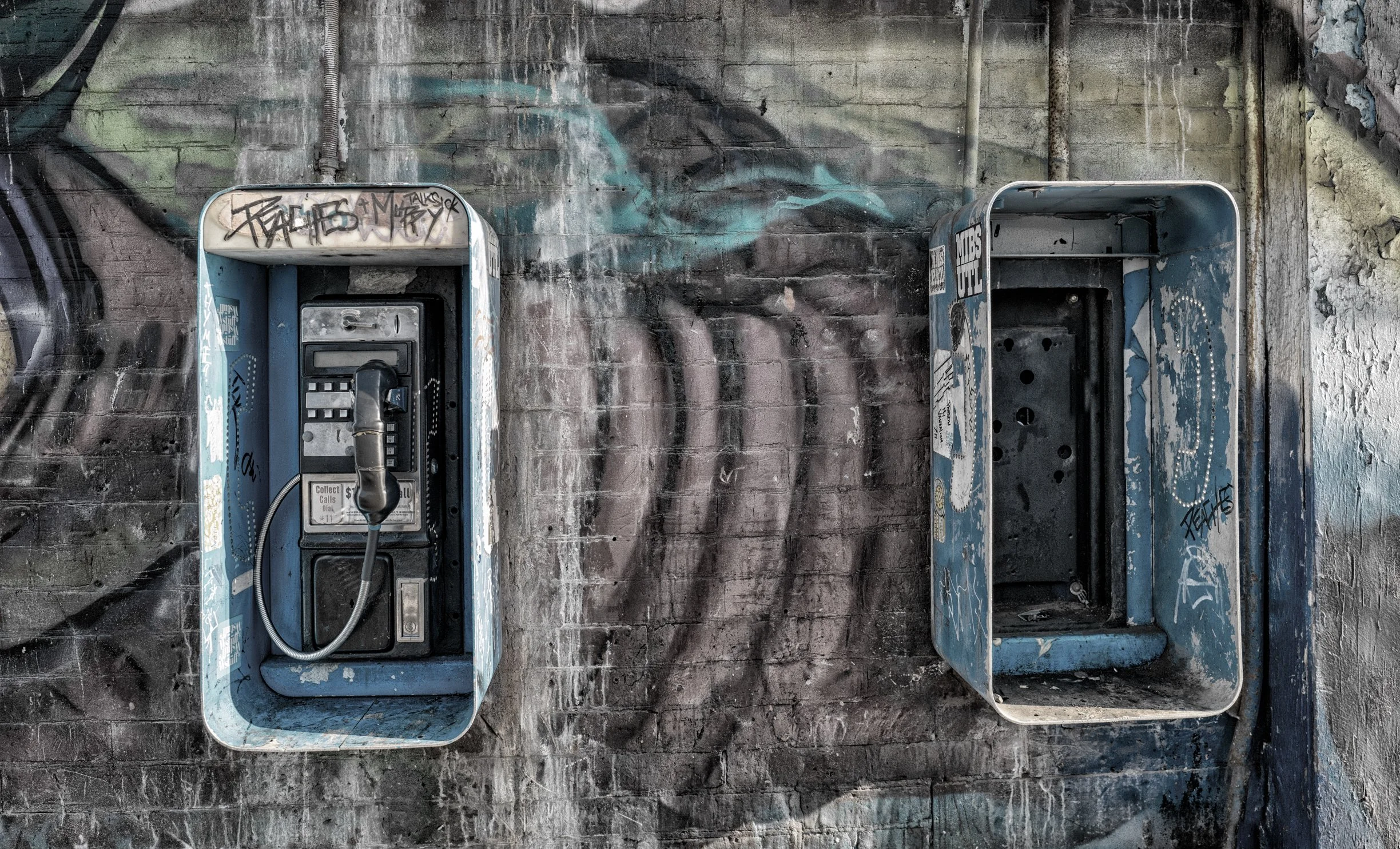 Man Tree Ham FB-2.jpg