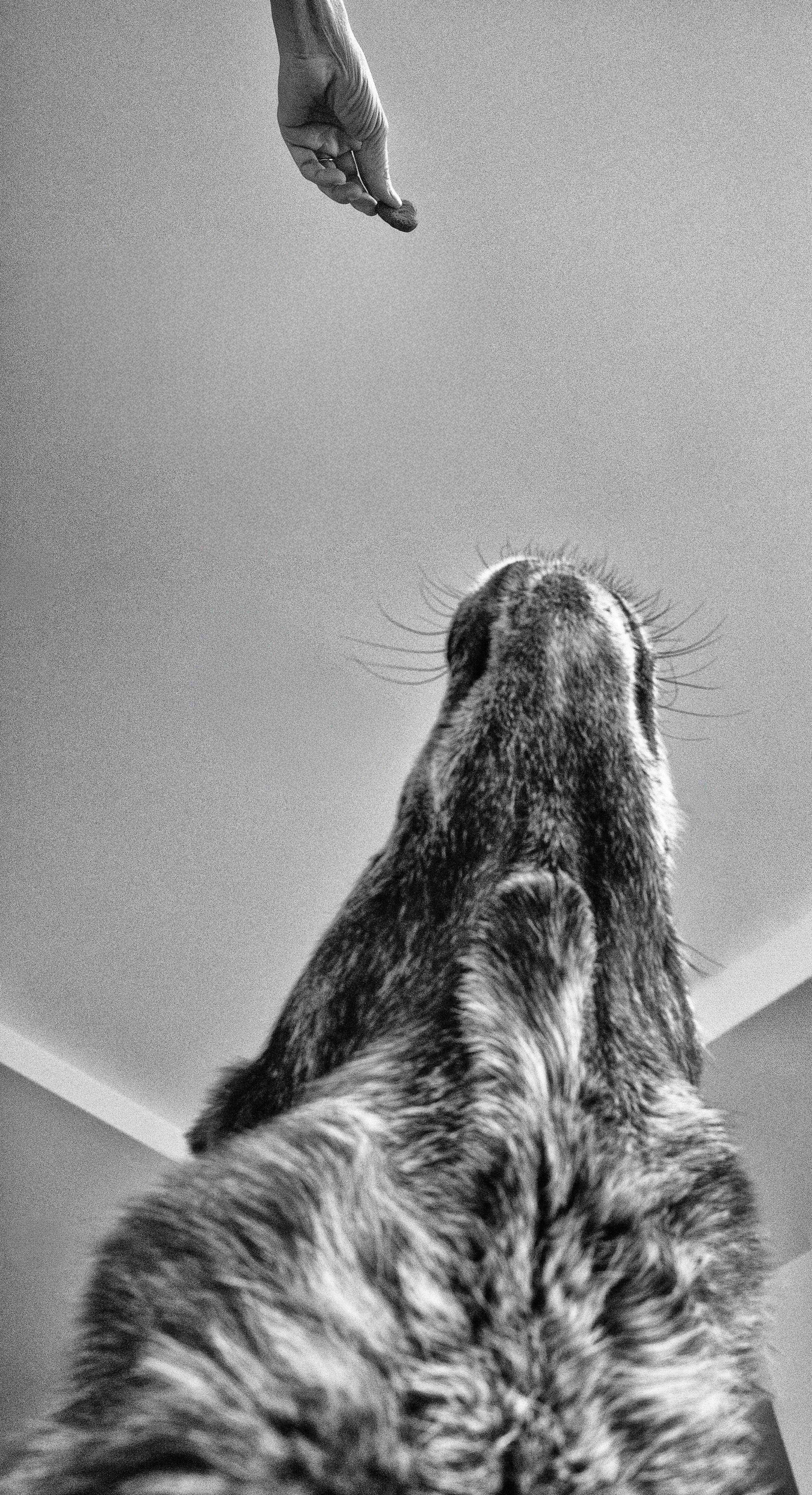 Edward Barry,Wk#3 Kai.jpg