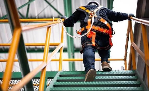 Personal Fall Arrest Systems.jpg