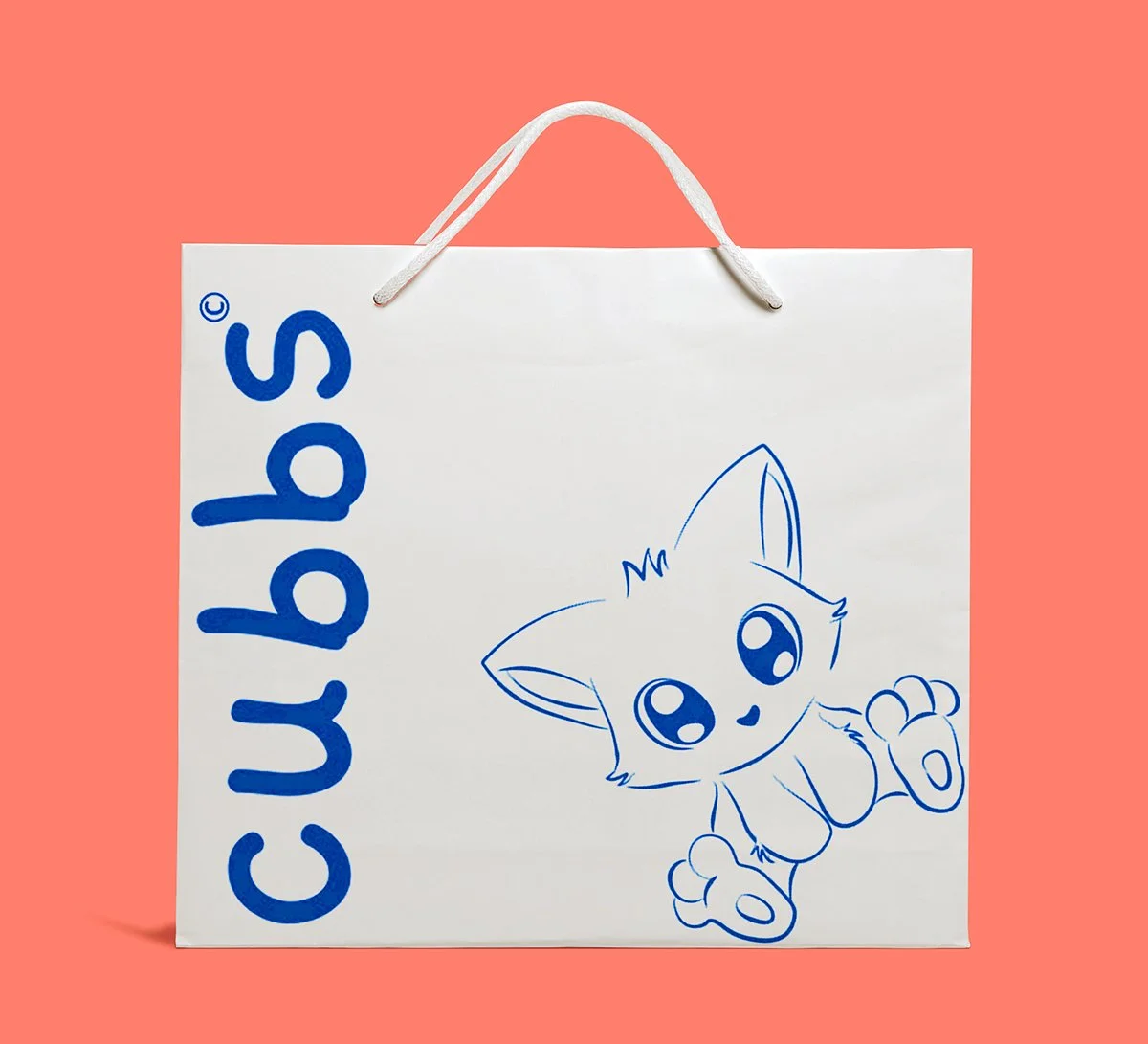 Cubbs Bag.jpg