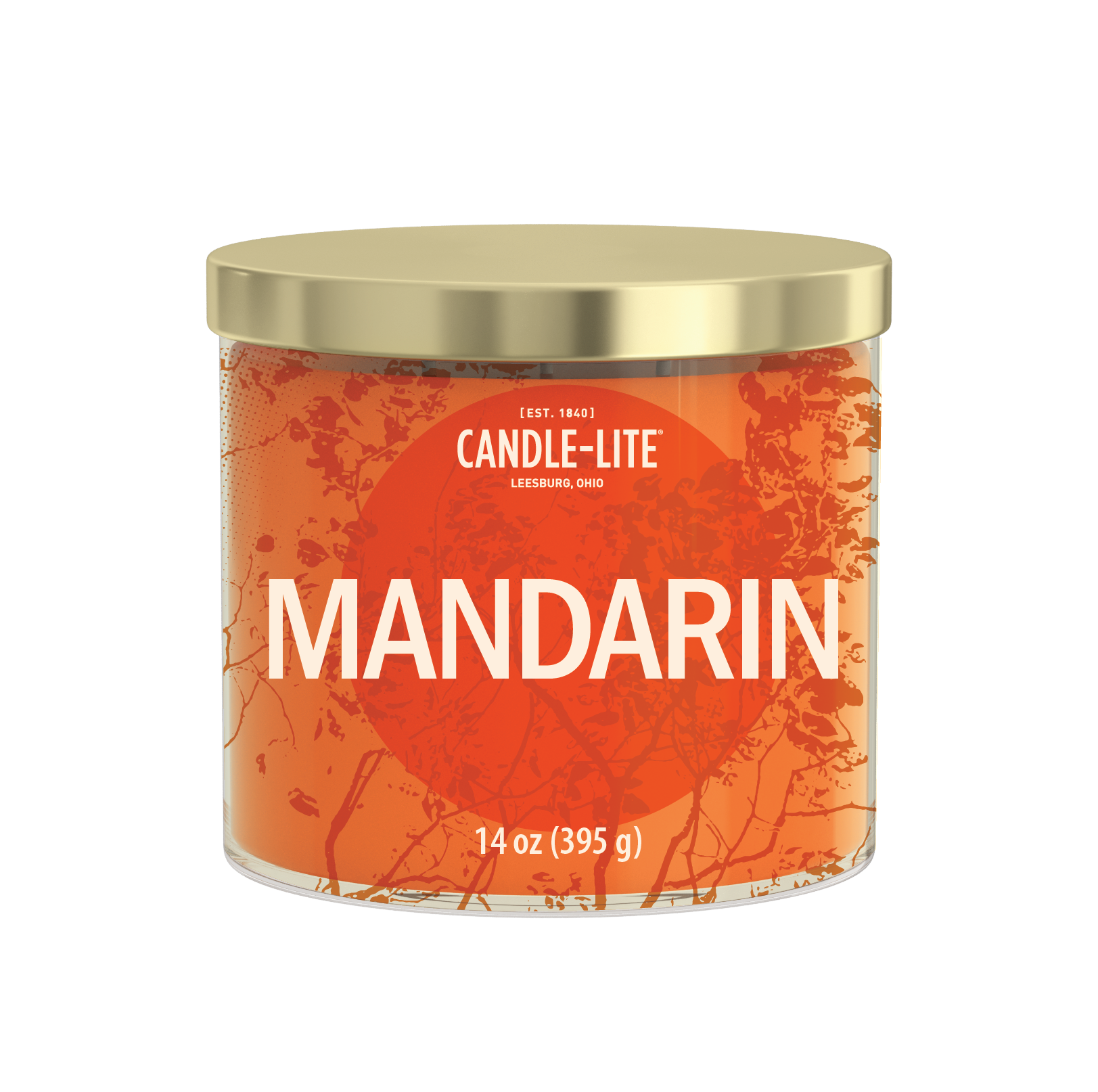 Summer 2027_333-09.png