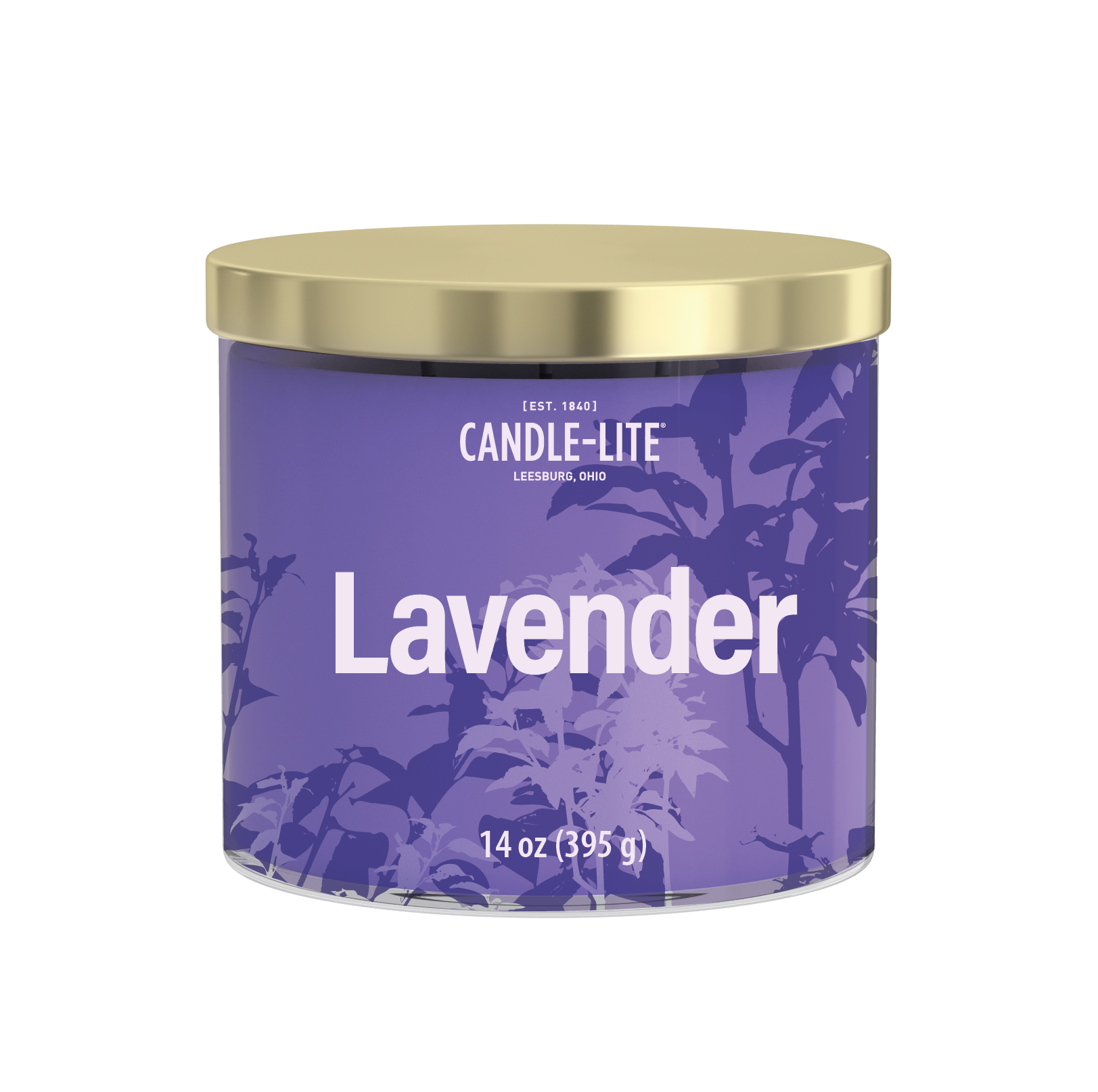 Summer 2027_333 -08.png