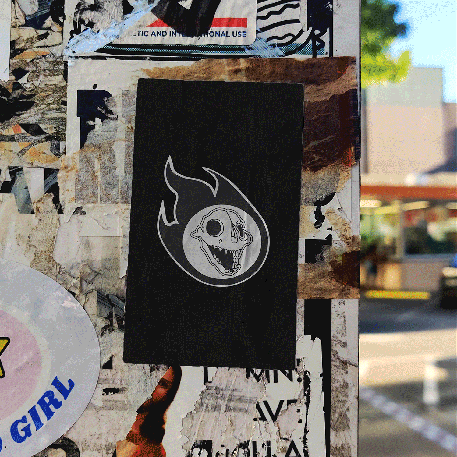 GIF-INICIO-V2.gif