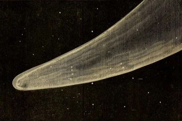 COMET OF 1811.jpg