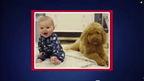 ezgif.com-gif-maker (4).gif