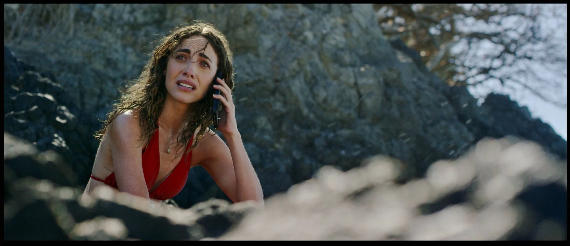 Screen Shot 2023-06-01 at 7.20.43 PM.jpeg