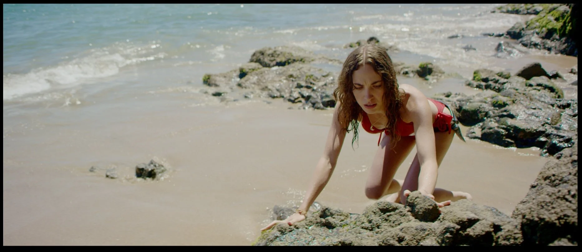 Screen Shot 2023-06-01 at 8.50.02 PM.jpeg