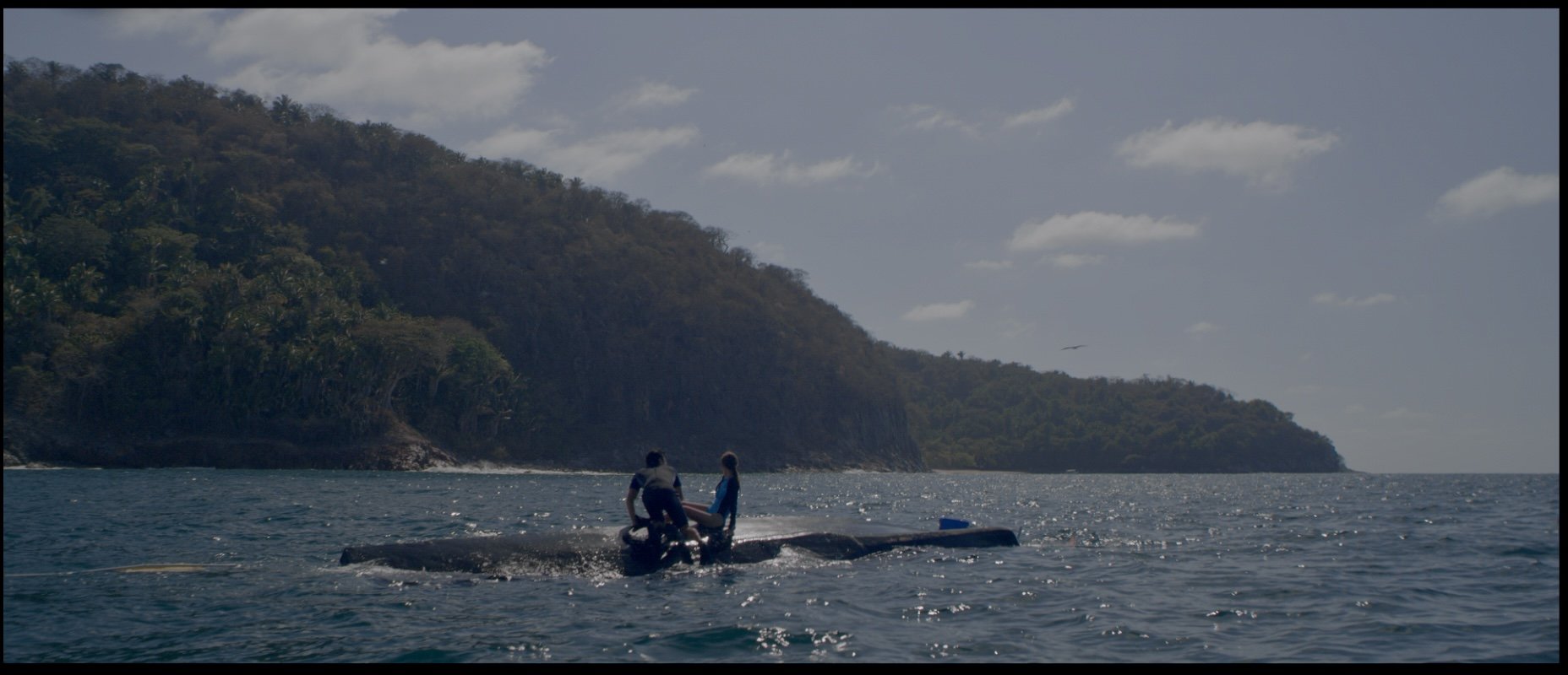 Screen Shot 2023-06-01 at 9.17.39 PM.jpeg