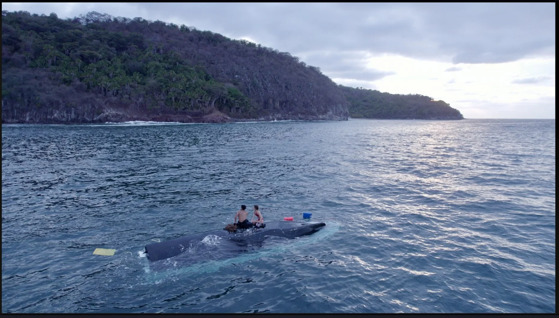 Screen Shot 2023-06-01 at 9.26.01 PM.jpeg