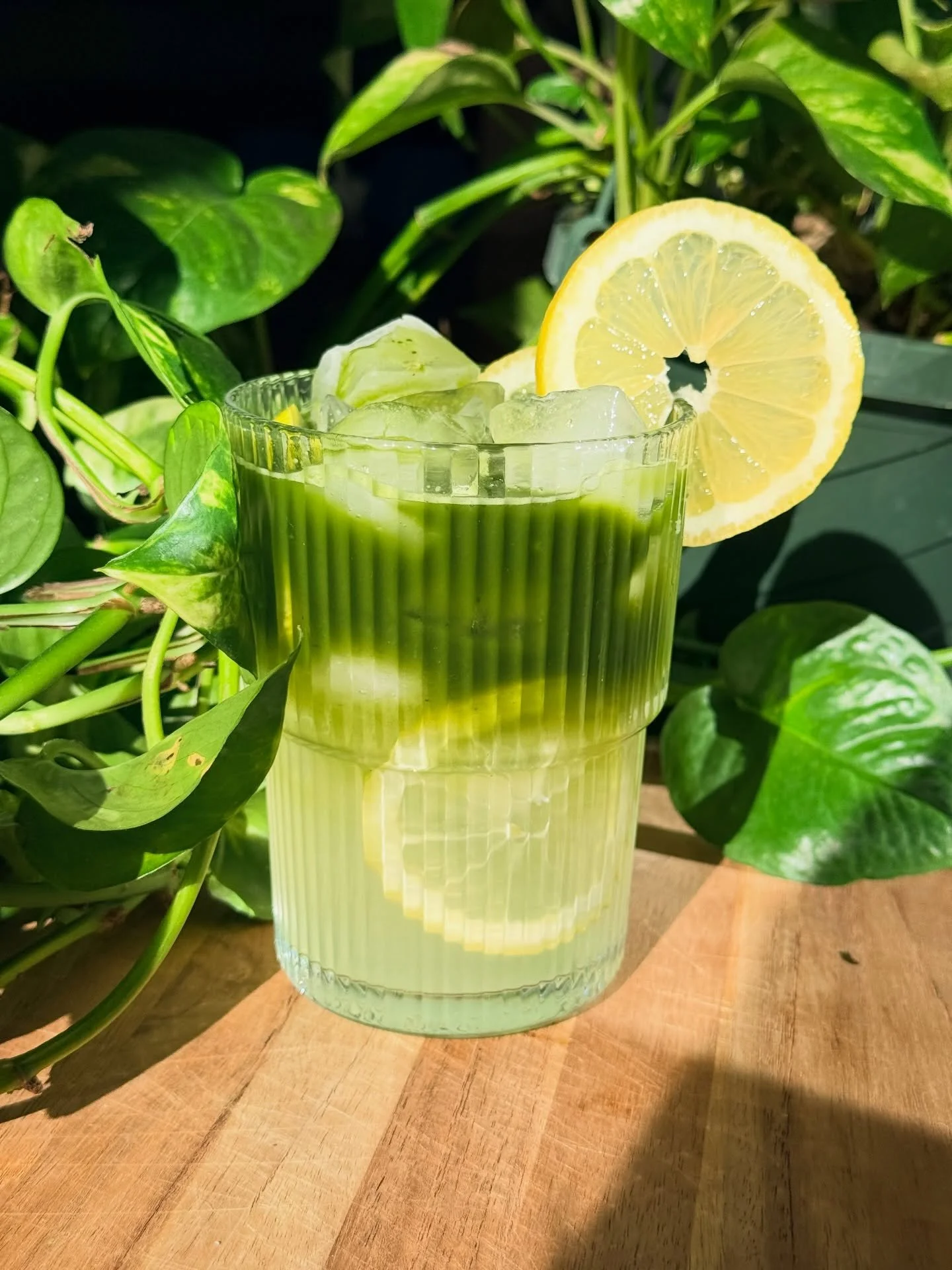 MATCHA LEMONADE 🍋 &mdash; now available at @lidasjungle on Thursdays and Fridays out of our new&hellip; coffee trailer! 💕

&mdash;&mdash; 

For a limited time, you can catch us every Thursday and Friday at Lida&rsquo;s in our new coffee trailer! We