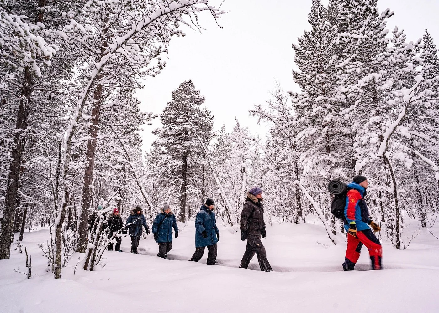 Showshoe in a Forest in Sweden