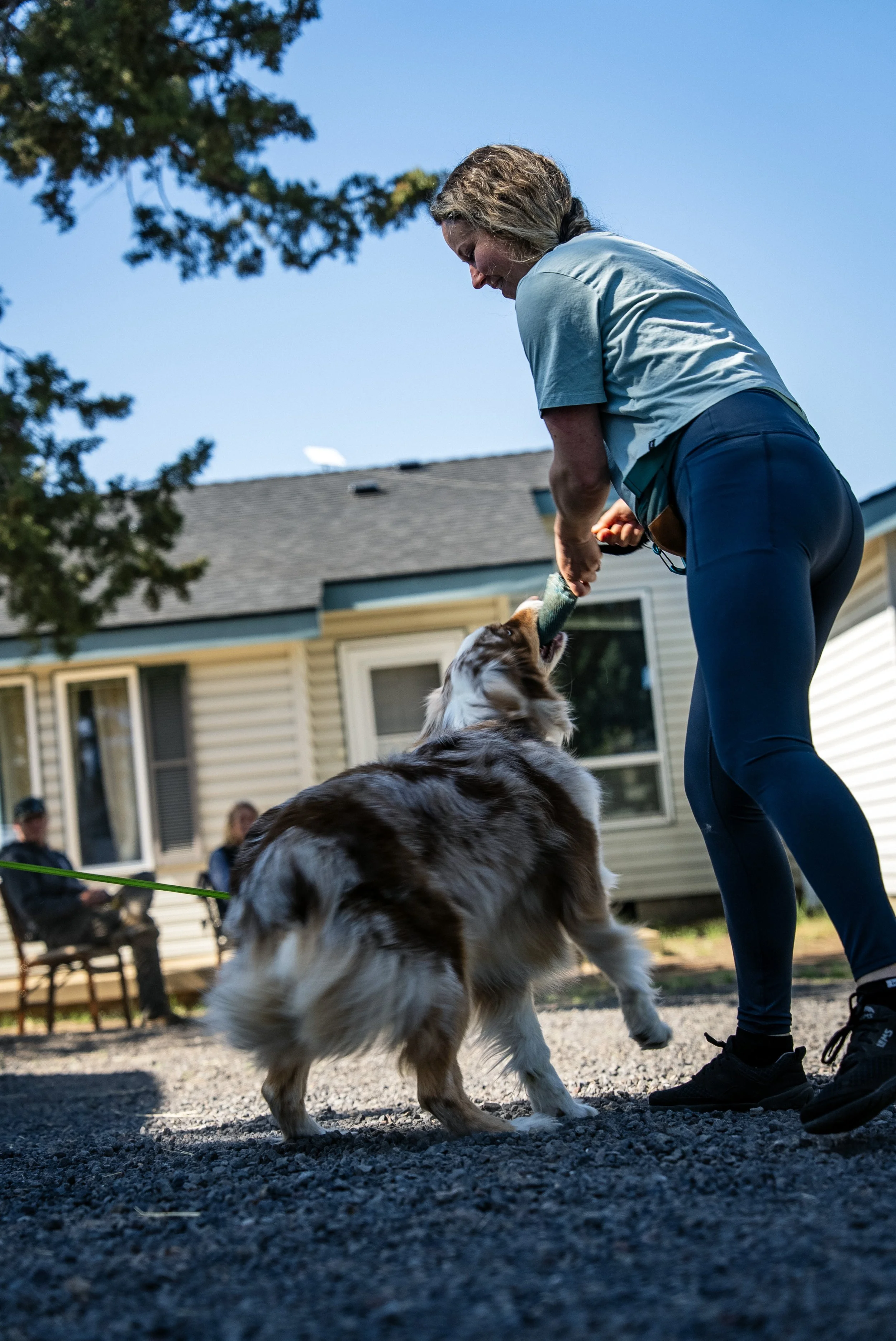 A person playing with a dog