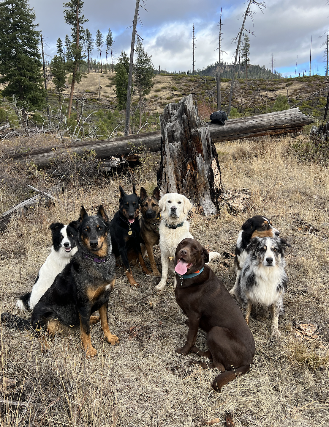 Screenshot 2025-07-11 at 3.46.38 PM.png