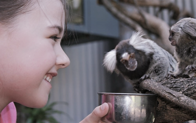 Go wild at the Shoalhaven Zoo