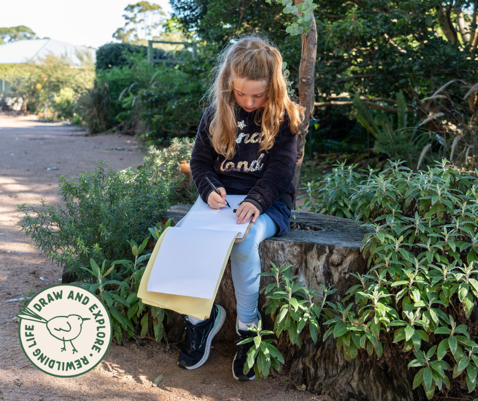 Rewilding Life: Draw &amp; Explore Bangalay