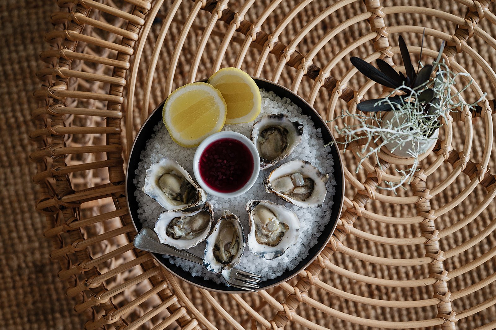 ½ dozen oysters with lemon