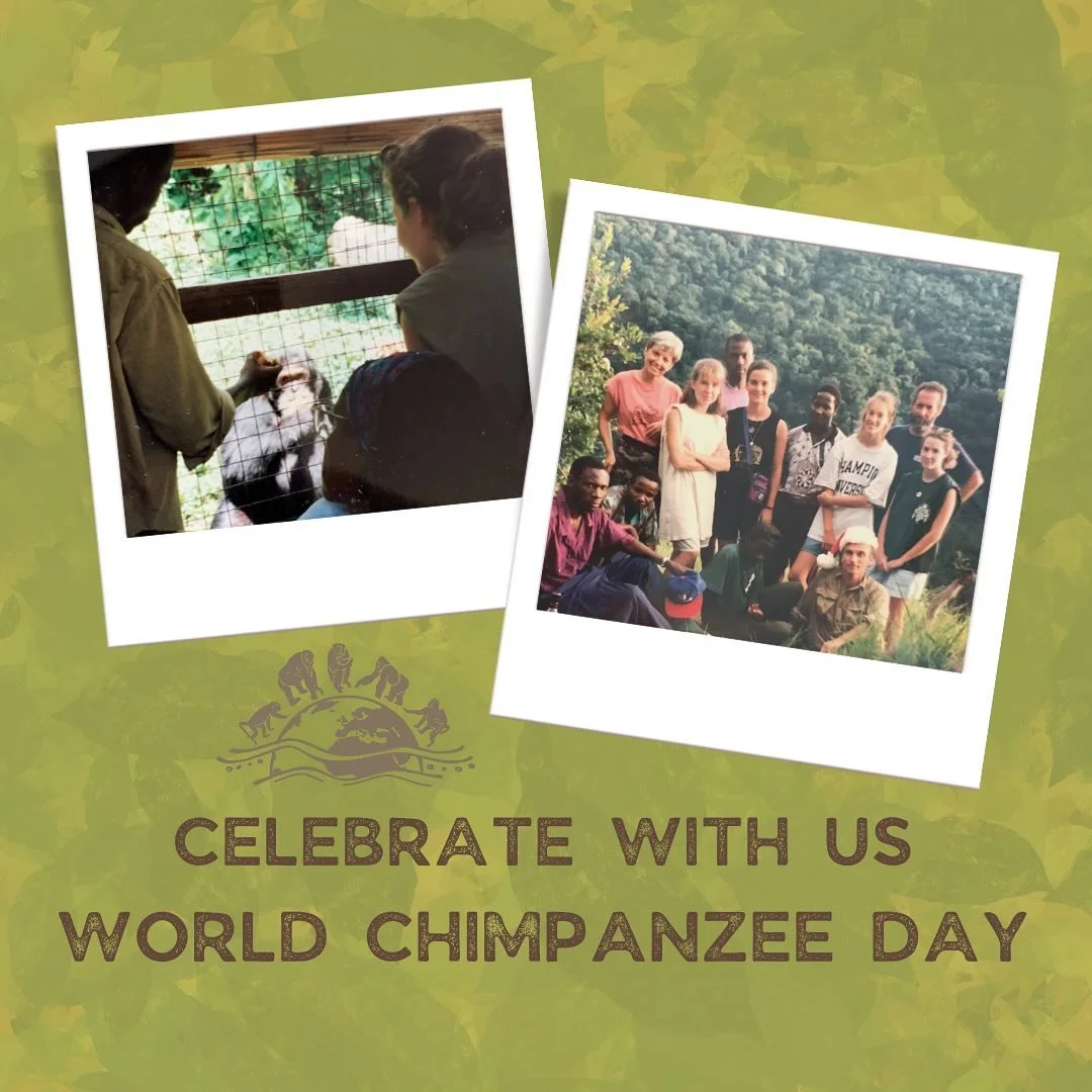 July 14, 1960 &mdash;  Dr. Jane Goodall arrived in what is now Gombe National Park, Tanzania. It is here that she started her groundbreaking research on chimpanzees in the wild and the reason why we celebrate World Chimpanzee Day today. 

In 1995, th