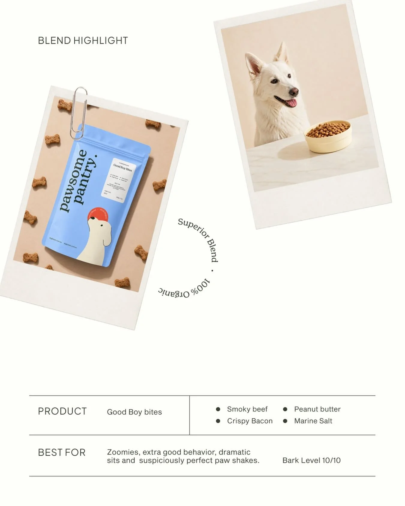 New work for Pawsome Pantry. Coming soon 🐾

[brand identity, branding, logo design, brand strategy, brand design strategy, small business owner, design portfolio, brand design process]