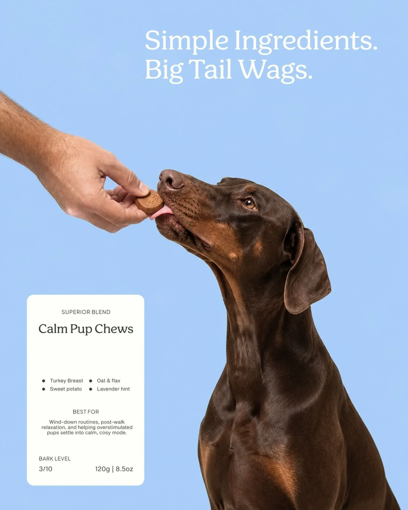 New work for Pawsome Pantry. Coming soon 🐾

[brand identity, branding, logo design, brand strategy, brand design strategy, small business owner, design portfolio, brand design process]